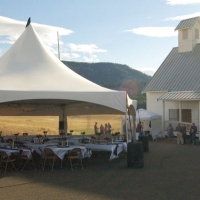 wedding3
